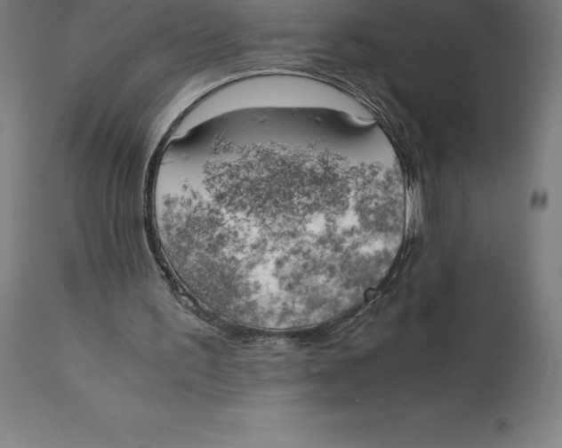 X0000111150195200907211211