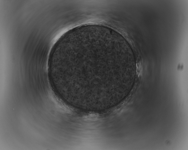 X0000111150196200907211211