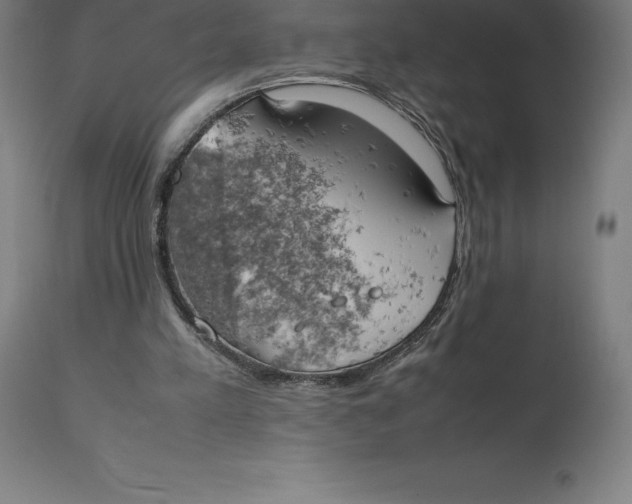 X0000111150197200907211211