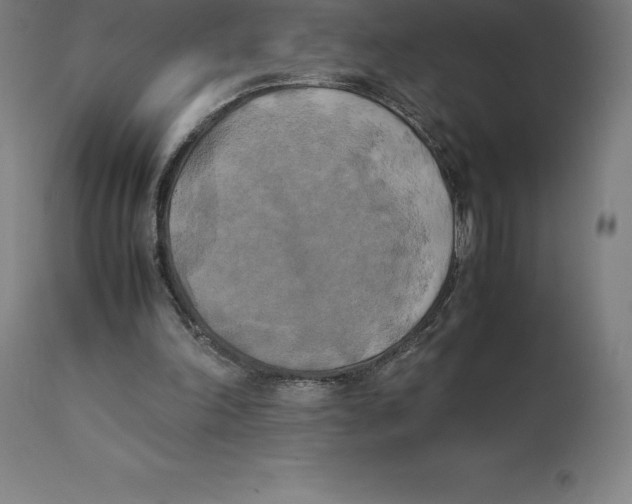 X0000111150198200907211211