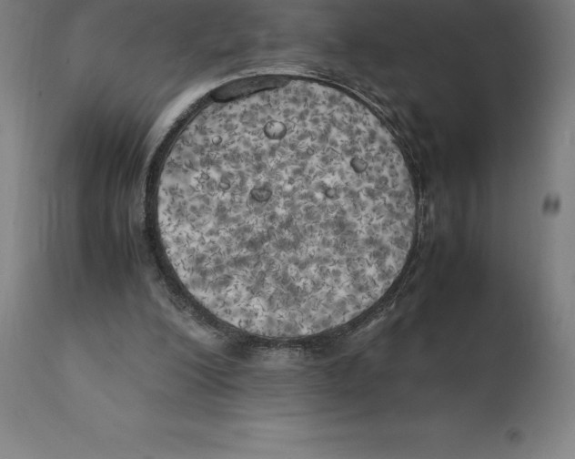 X0000111150200200907211211