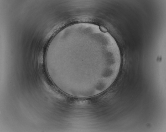 X0000111150202200907211211