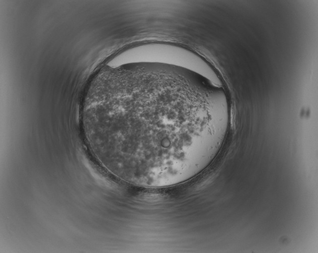 X0000111150205200907211211