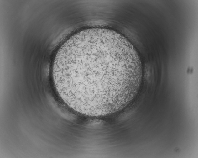 X0000111150206200907211211