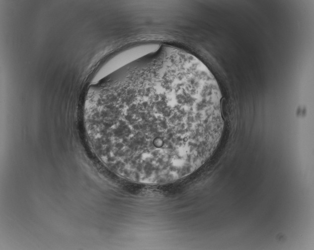 X0000111150207200907211211