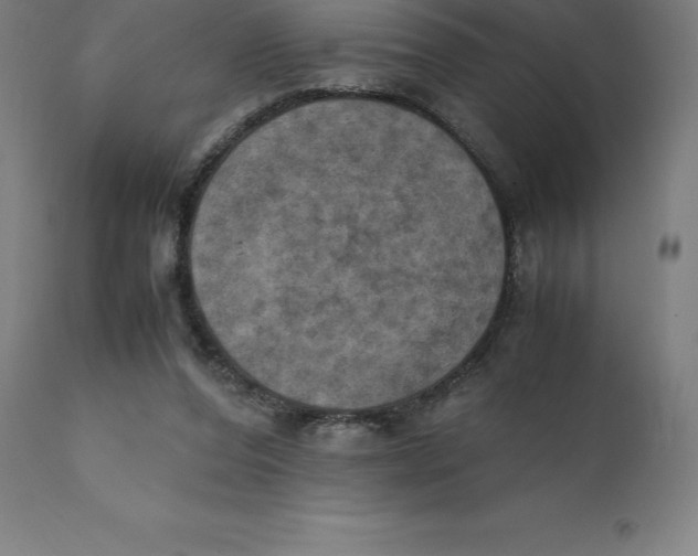 X0000111150208200907211211