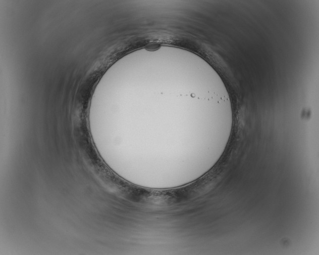 X0000111150209200907211211