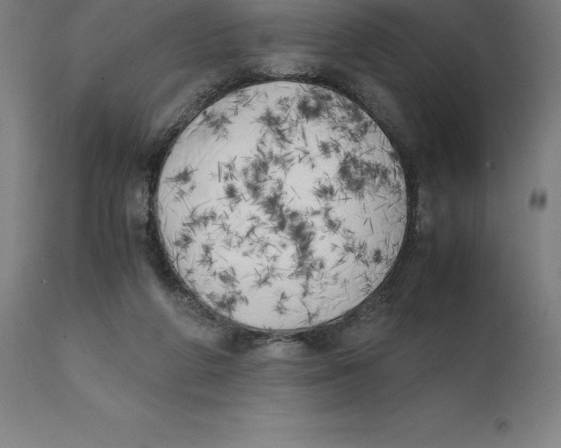 X0000111150210200907211211