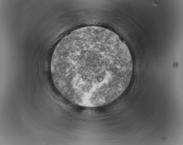 X0000111150211200907211211