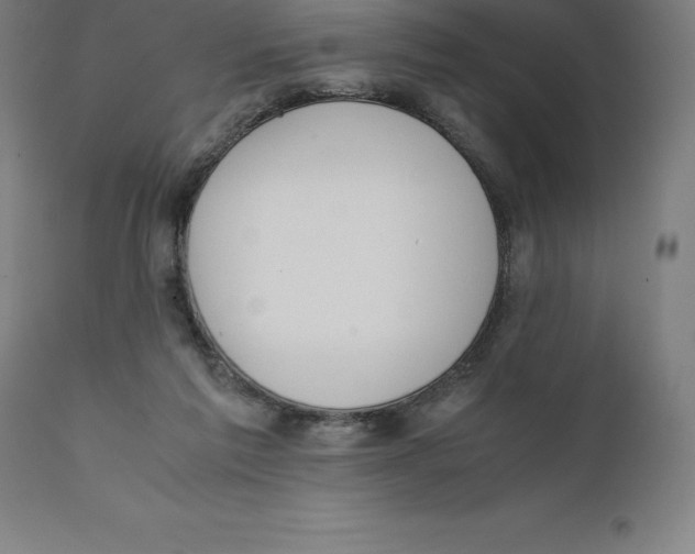 X0000111150213200907211211