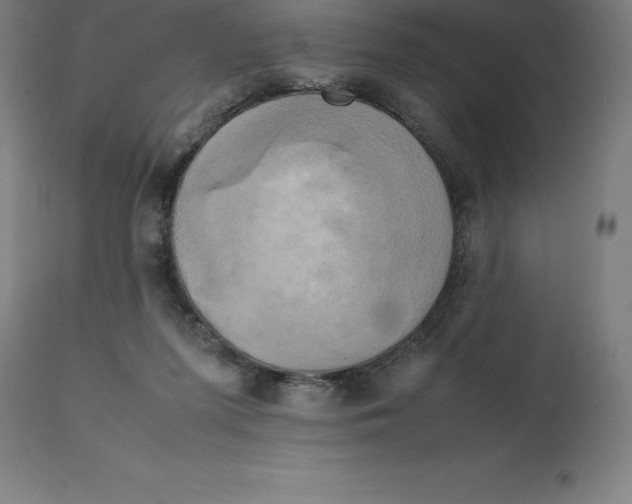 X0000111150215200907211211