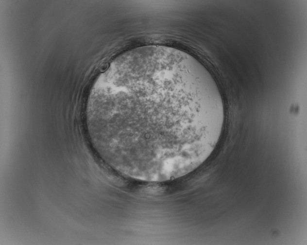 X0000111150217200907211211