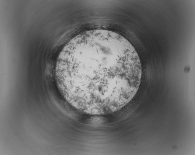 X0000111150218200907211211