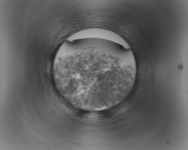 X0000111150219200907211211