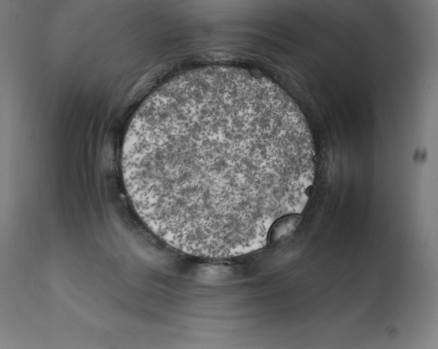 X0000111150220200907211211