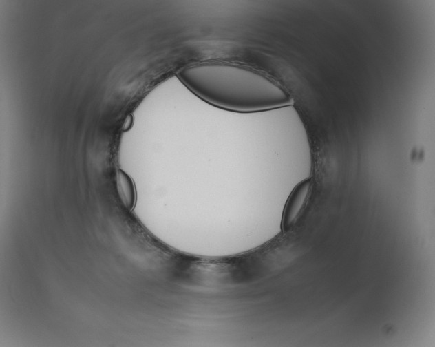 X0000111150221200907211211