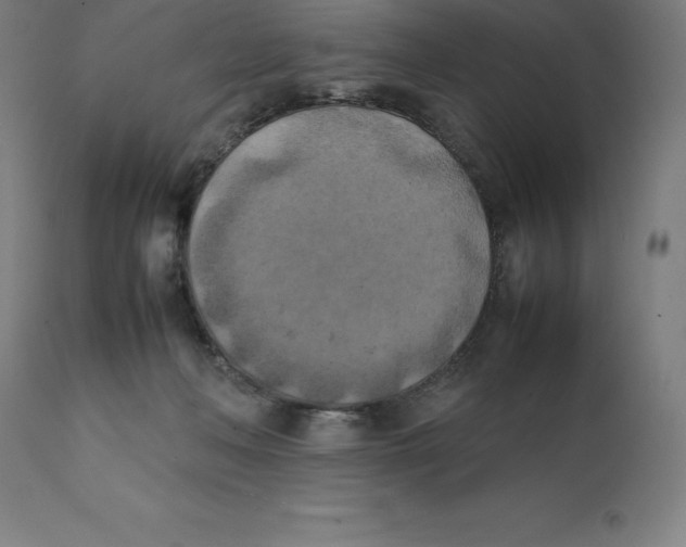 X0000111150222200907211211