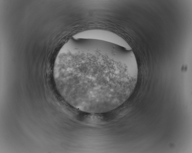 X0000111150223200907211211