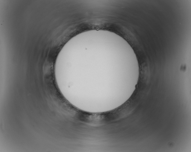 X0000111150225200907211211