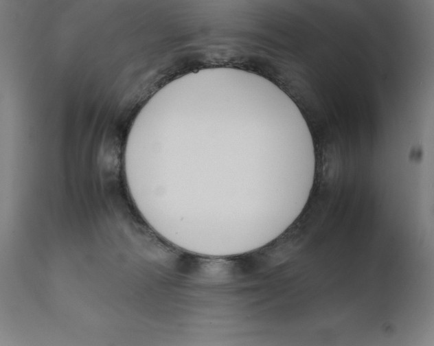 X0000111150226200907211211