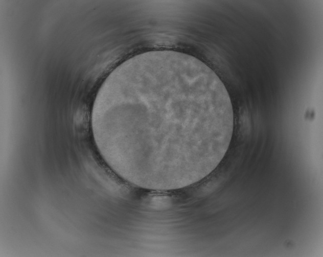 X0000111150228200907211211