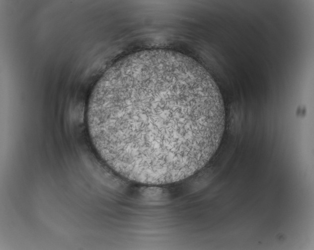 X0000111150230200907211211