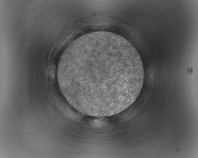 X0000111150232200907211210