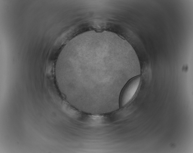 X0000111150233200907211210