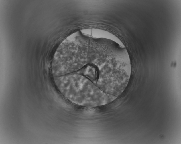 X0000111150235200907211210