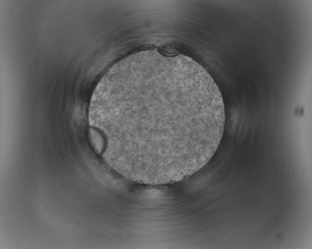 X0000111150236200907211210