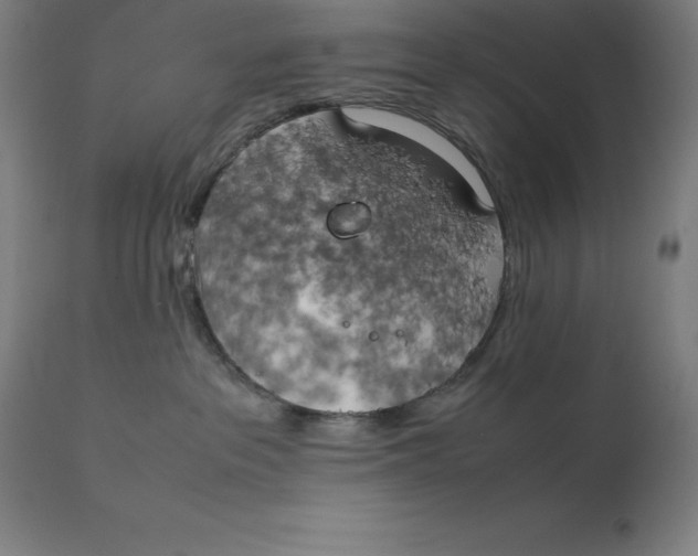 X0000111150237200907211210