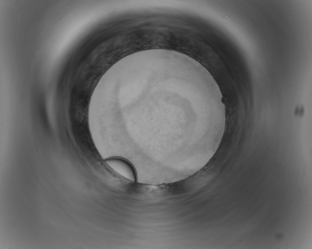 X0000111150239200907211210