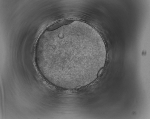 X0000111150241200907211210