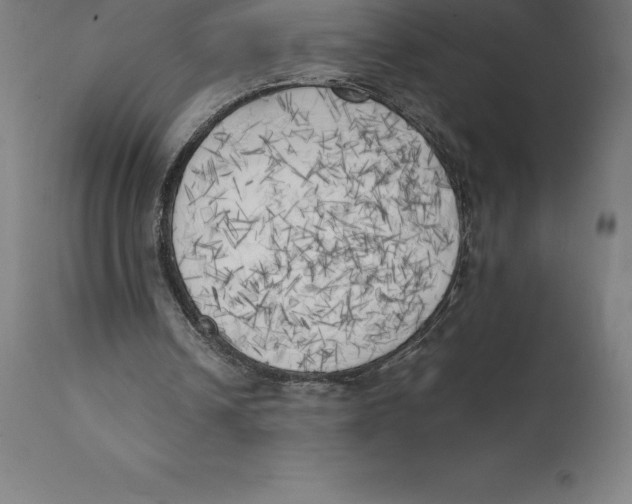 X0000111150242200907211210