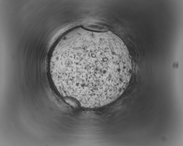 X0000111150244200907211210