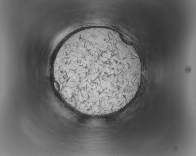 X0000111150248200907211210