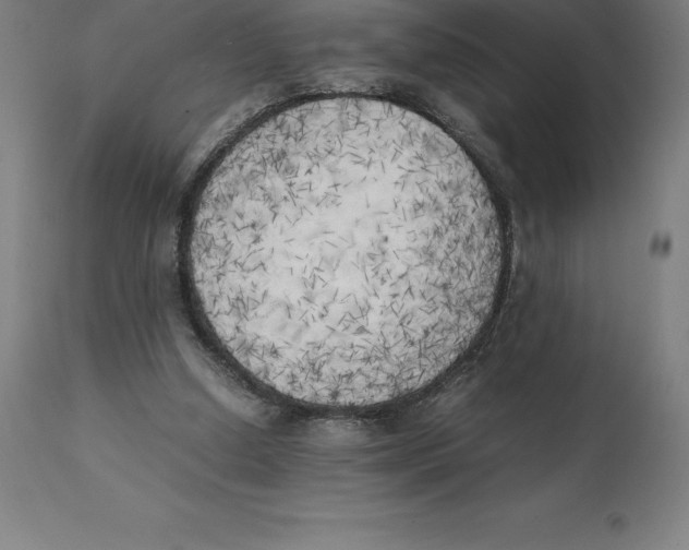 X0000111150250200907211210