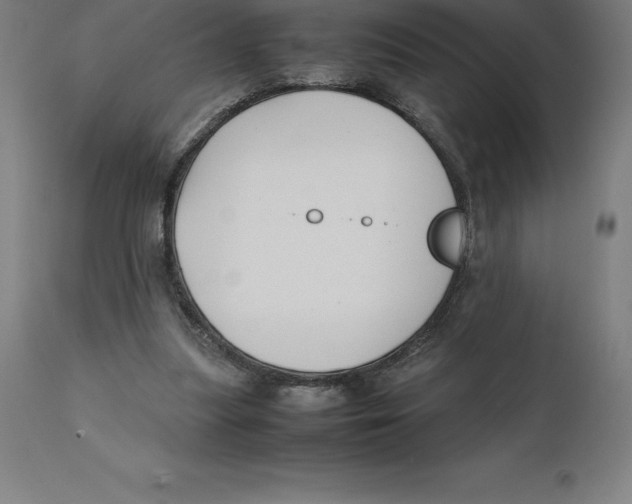 X0000111150251200907211210