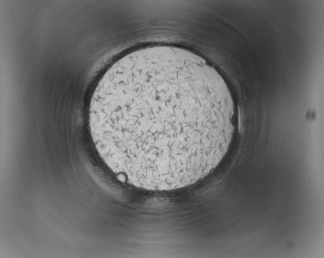 X0000111150252200907211210