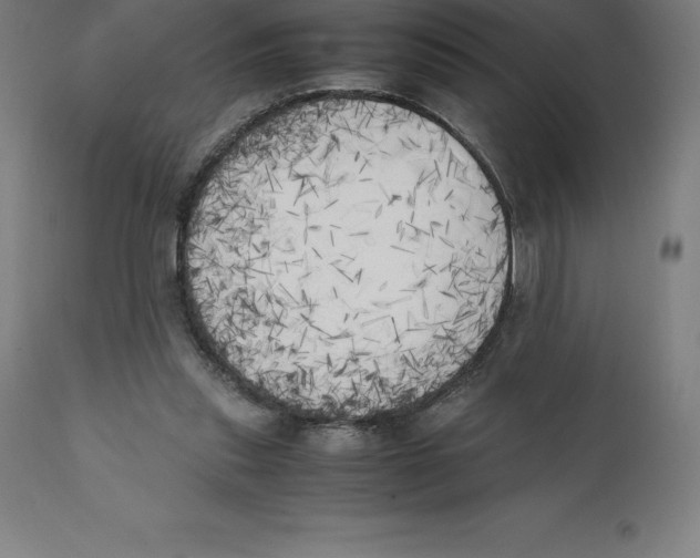 X0000111150253200907211210