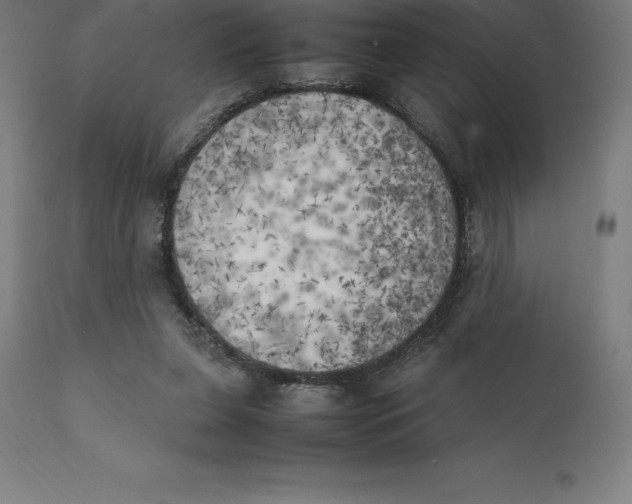 X0000111150255200907211210