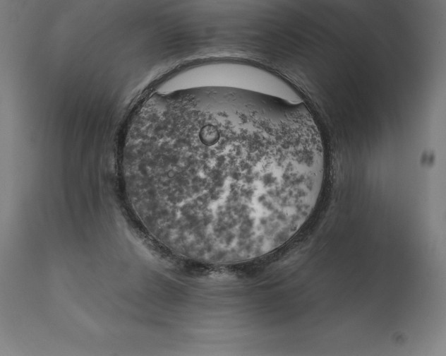 X0000111150256200907211210