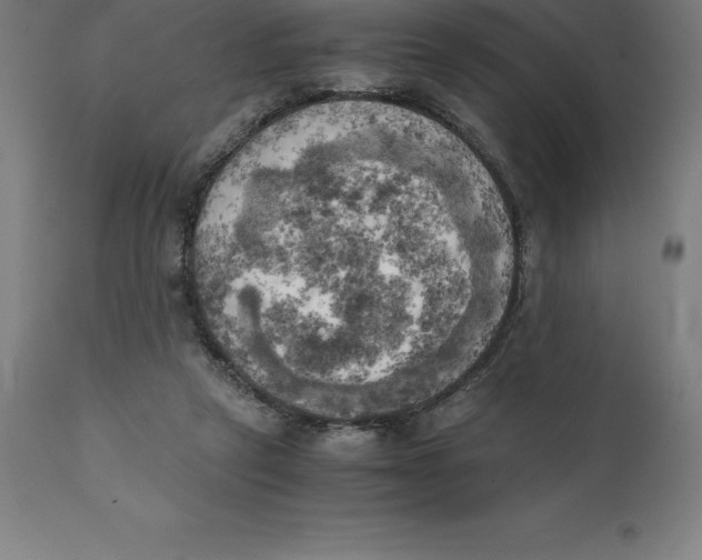 X0000111150257200907211210