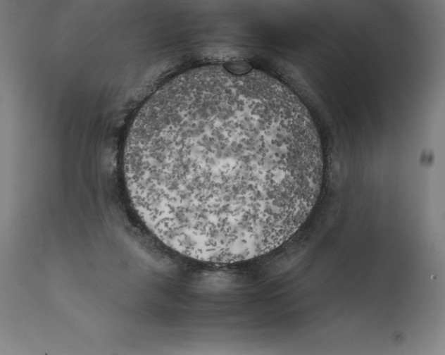 X0000111150259200907211210