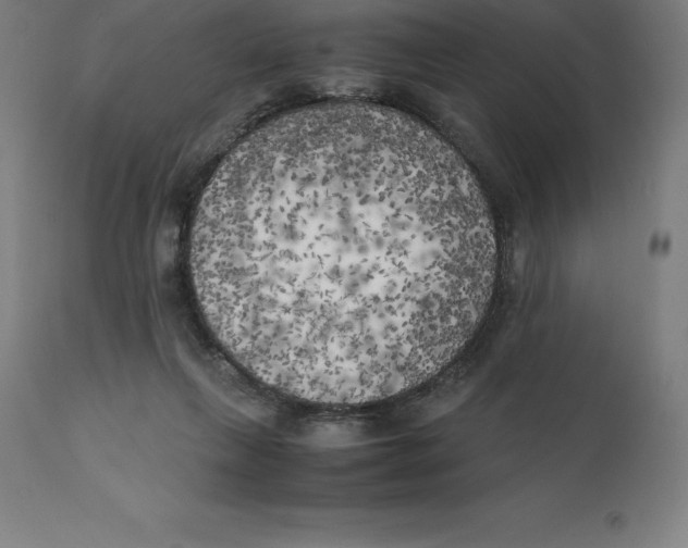 X0000111150263200907211210