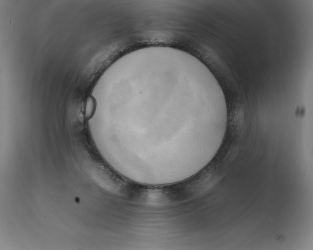 X0000111150264200907211210