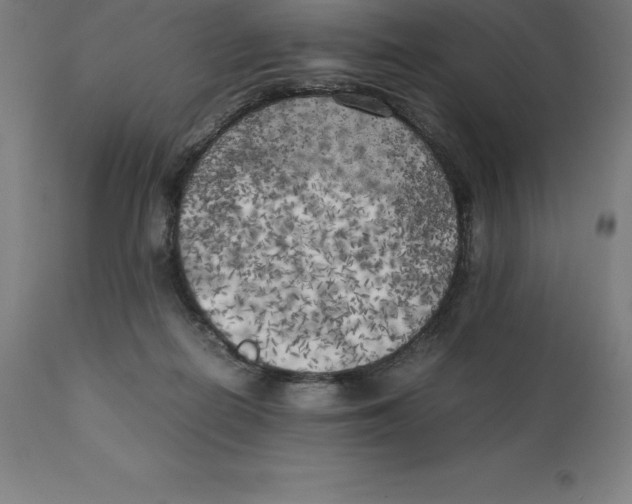 X0000111150266200907211210