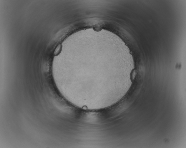 X0000111150268200907211210