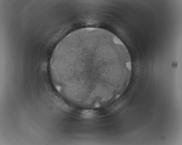 X0000111150269200907211210