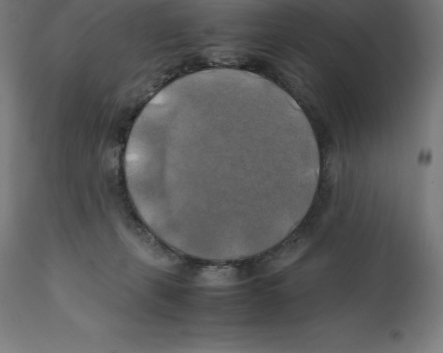 X0000111150271200907211210